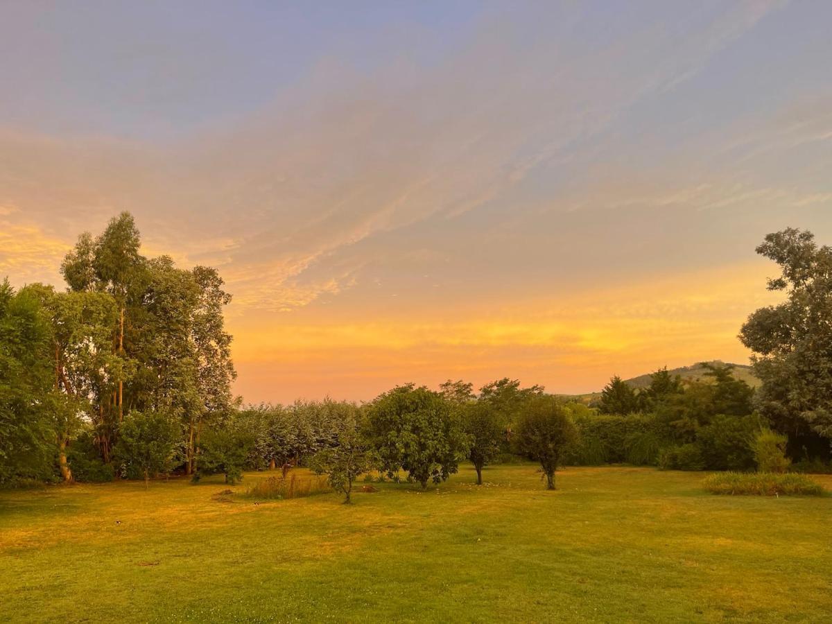 Posada La Serena Tandil Eksteriør billede